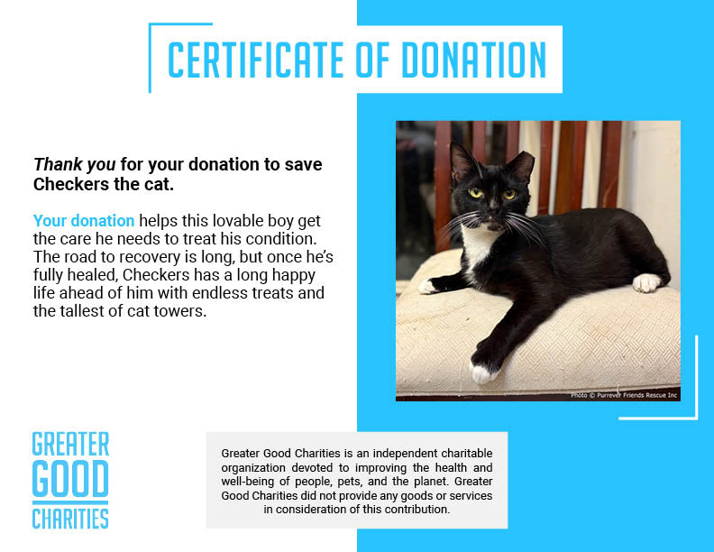 Funded: Help Checkers Overcome Severe Asthma