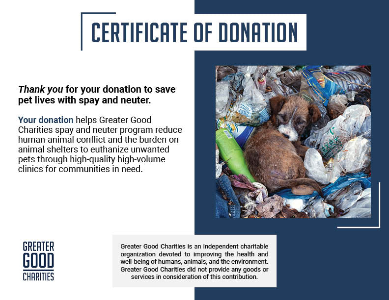 Save Lives and Prevent Suffering With Spay & Neuter