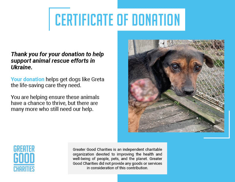 Skinny Ukraine Dog With Life-Threatening Tumors Needs Your Support