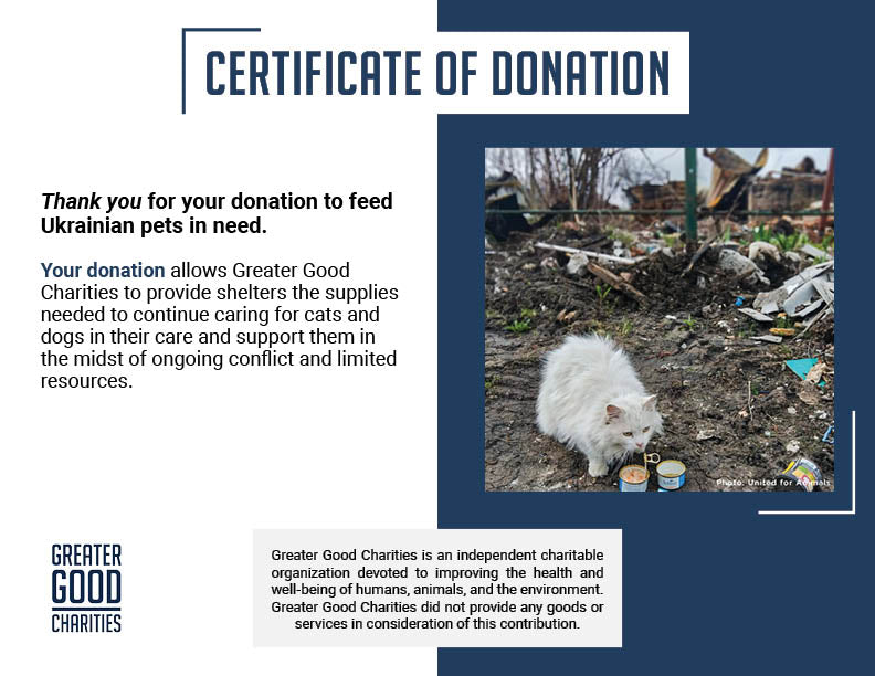 Crisis in Ukraine: Feed Hungry and Abandoned Pets