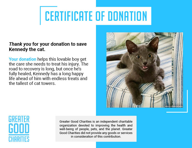 Help Kennedy Survive After Being Attacked by Animal