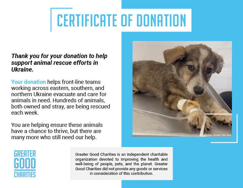 Time Is Running Out for These Puppies with Parvovirus - Help Save Them
