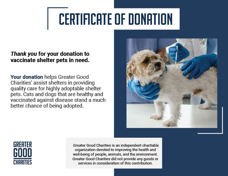 Protect Shelter Pets from Highly Contagious and Deadly Diseases