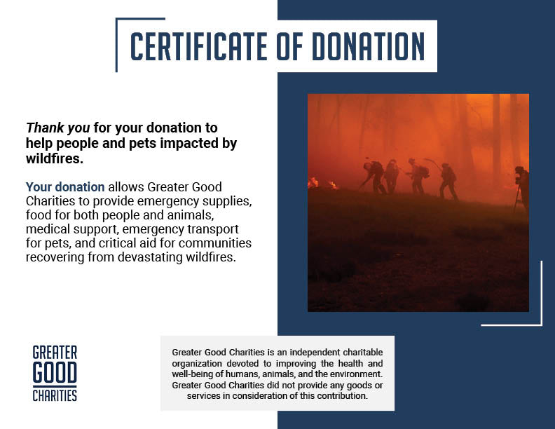 Disaster in the South: Help People and Pet Victims of Wildfires