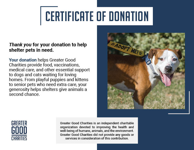 Help Shelter Pets Go from Homeless to Loving Homes