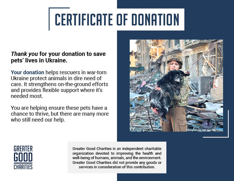 Crisis in Ukraine: Help Evacuate Pets From the Frontlines