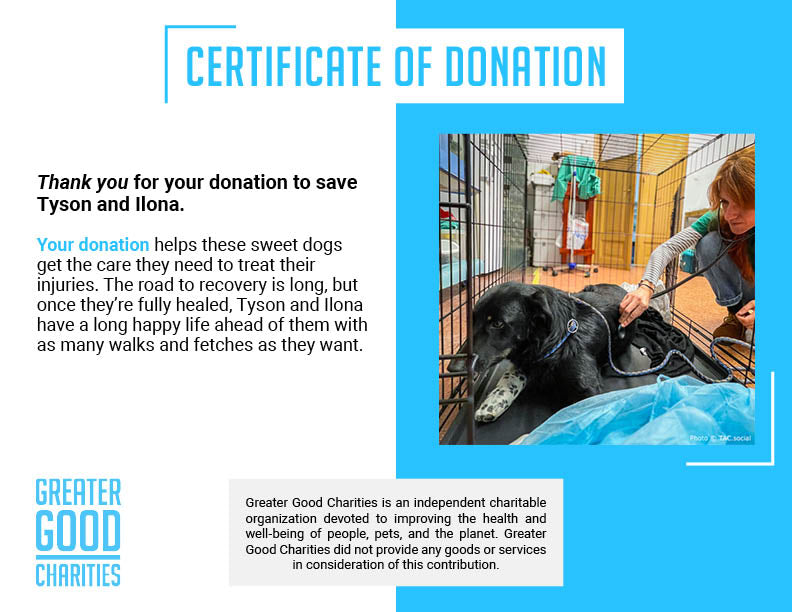 Funded: Help IIona and Tyson Suffering From Life-Threatening Injuries Get Emergency Care