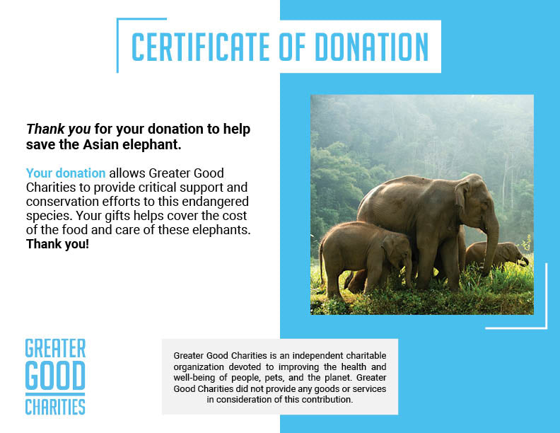 Help Save the Asian Elephant