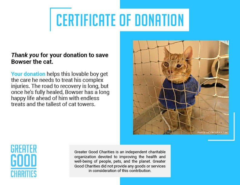 Funded: Bowser Needs Emergency Surgery to Save Inflamed Eye