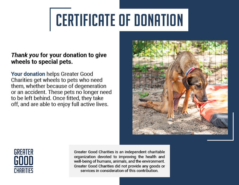 Give Wheels to Special Needs Pets
