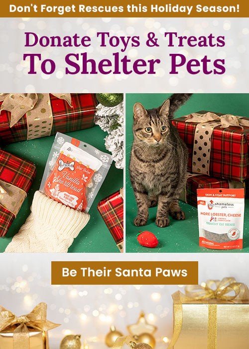 Donate Toys & Treats to Shelter Pets from The Animal Rescue Site and GreaterGood, supporting holiday gifts and essentials for cats and dogs in need through this seasonal donation.