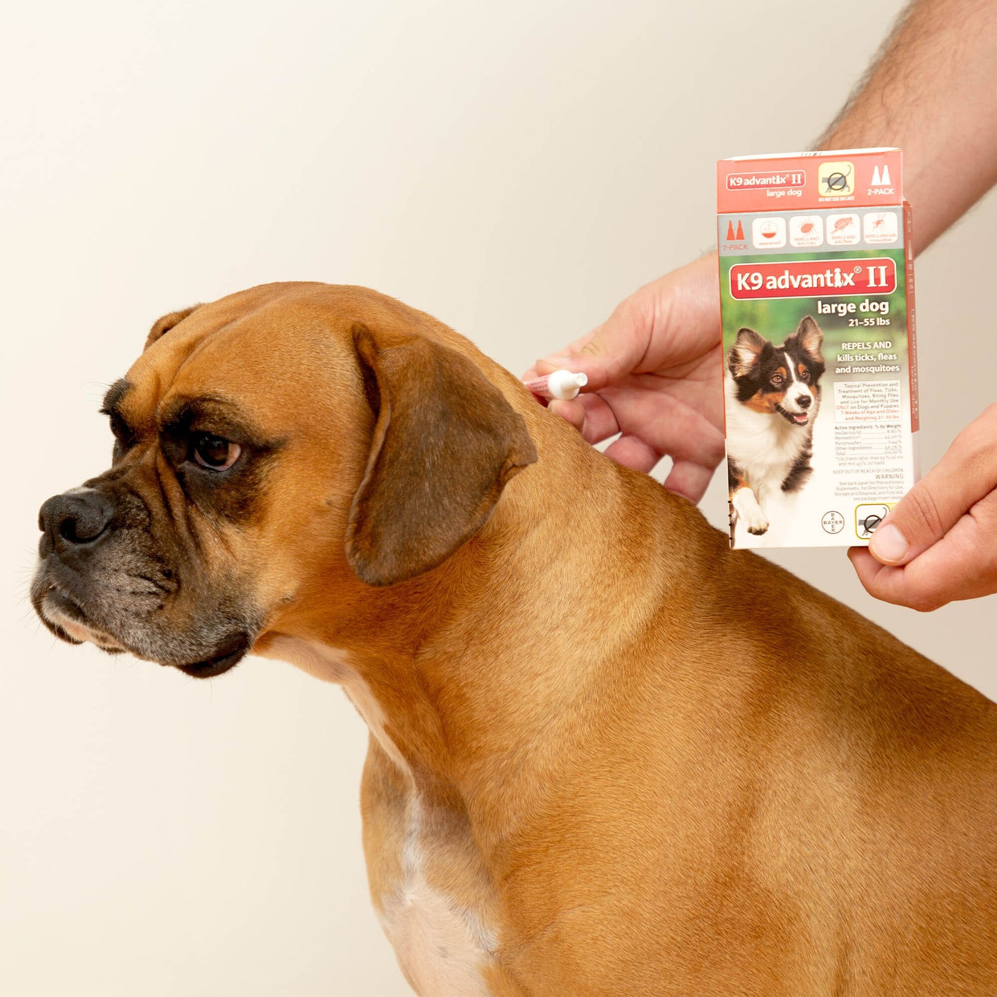 Help Keep Pets Safe From Fleas & Ticks