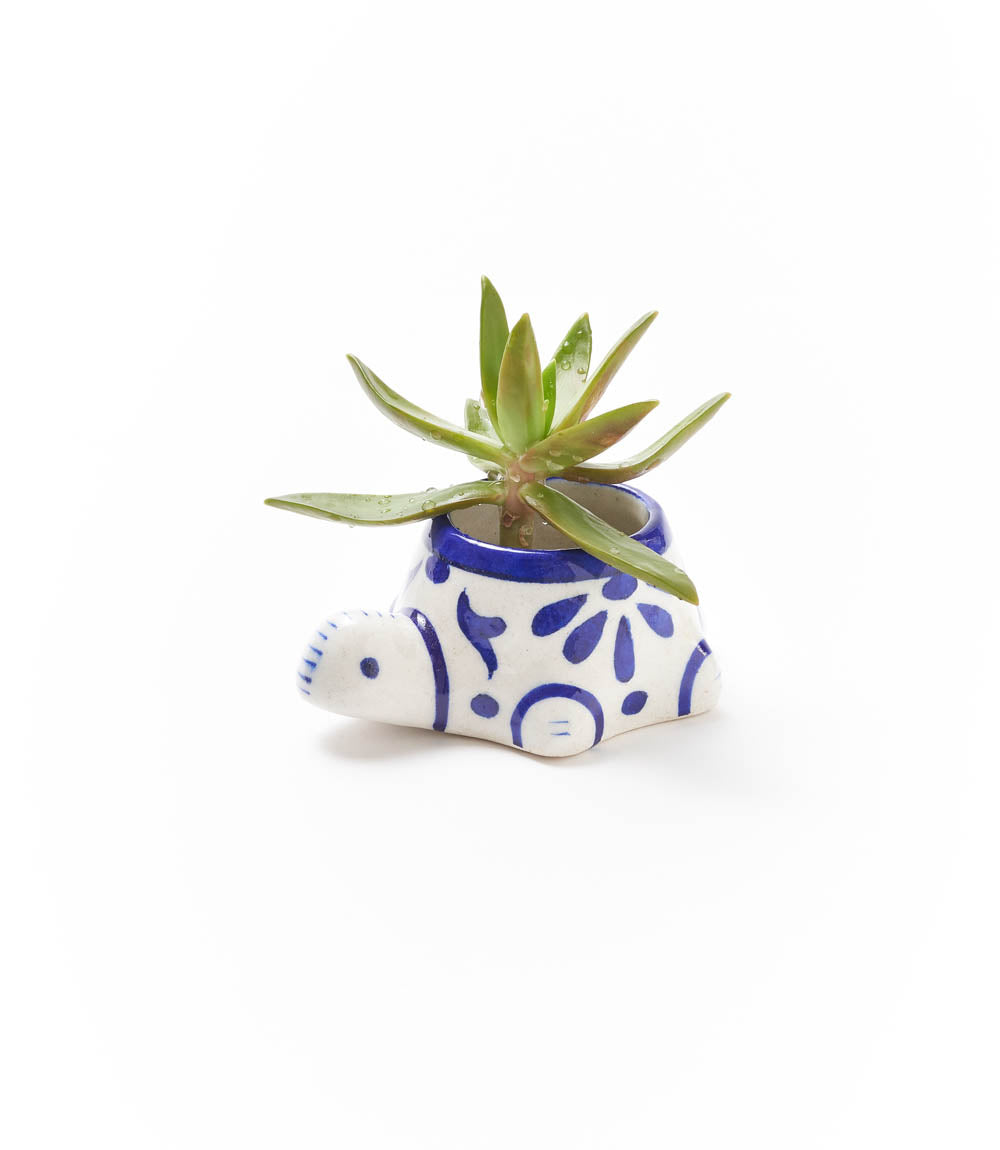 Lalita Indigo Succulent Planter - Baby Turtle