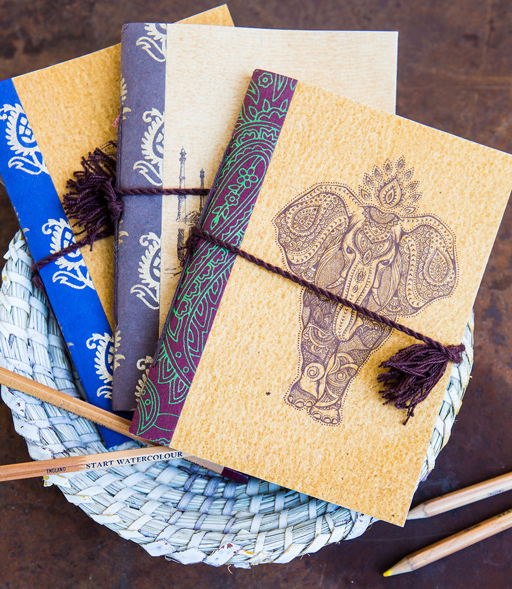 Jaipur Elephant Journal