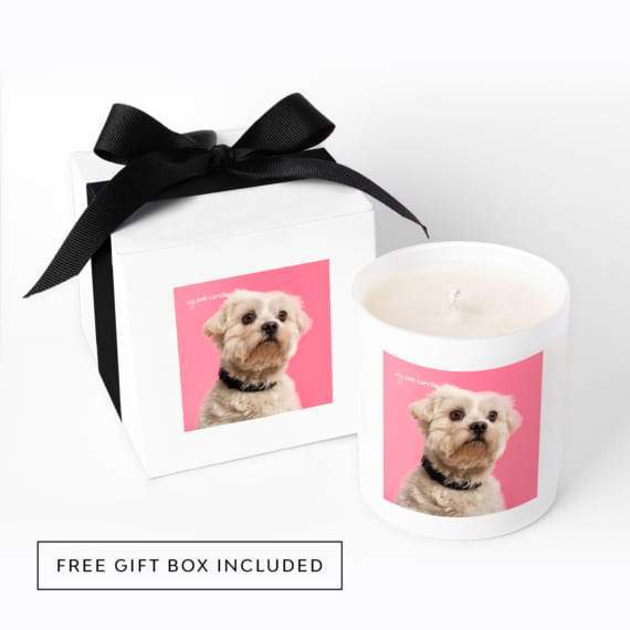 MyPetCandle - I Shih Tzu Not Soy Wax Candle