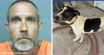 Split image showing a mugshot-style photo of a man beside a black-and-white dog standing on a concrete floor.