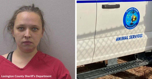 Split image showing a woman’s mugshot beside the side of a Lexington County Animal Services truck.