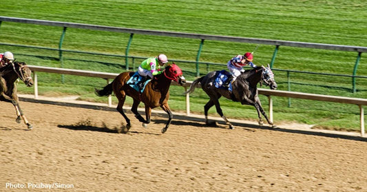 Churchill Downs Suspends Horse Racing After 12 Horse Deaths