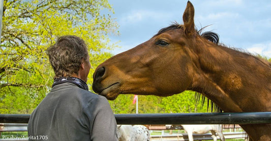 Historic Pony Express Returns for 163rd Anniversary Ride!