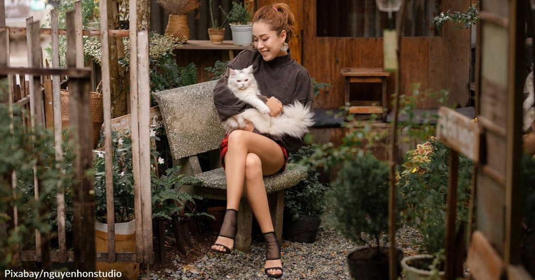 No More Crazy Cat Lady, Feline Fanciers Are "In" on Dating Apps