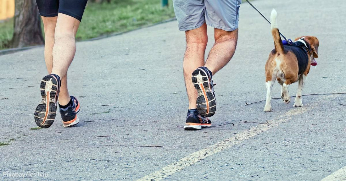 Running with Shelter Dogs in Minnesota is the Latest Fitness Craze