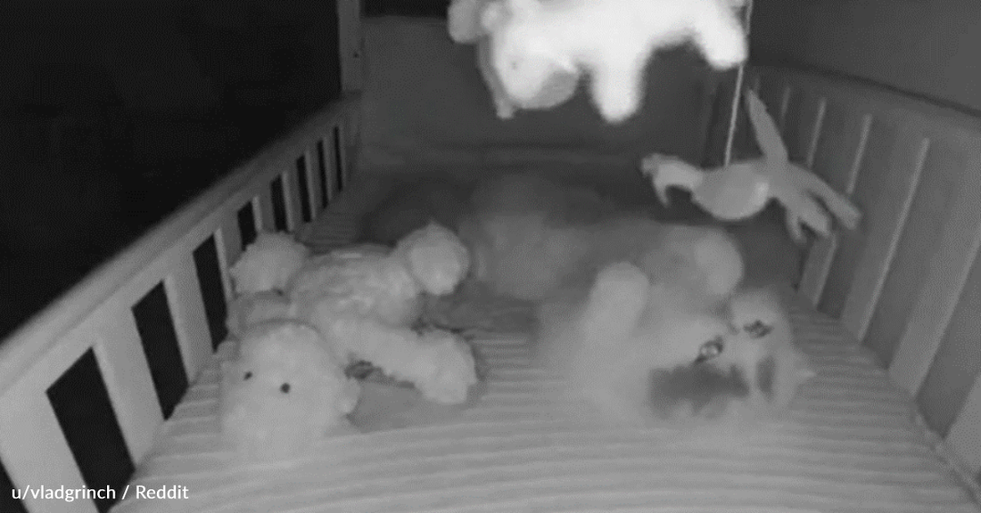 Cat Breaks Into Baby's Room To Play With Toys Hanging Above The Crib