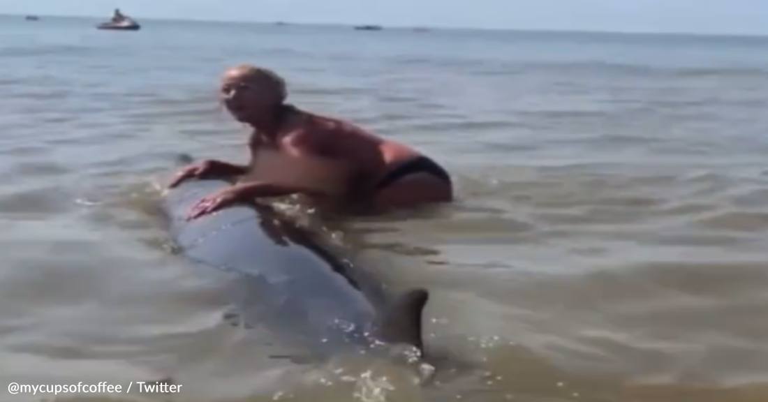 Woman Attempts To Ride Stranded Dolphin And Sparks Outrage