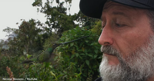 Man Shares Once-In-A-Lifetime Moment With Wild Hummingbird