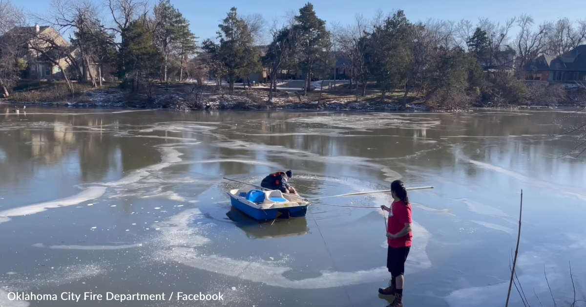 Watch Firefighters Rescue Dog Trapped In A Freezing Lake | The Animal ...