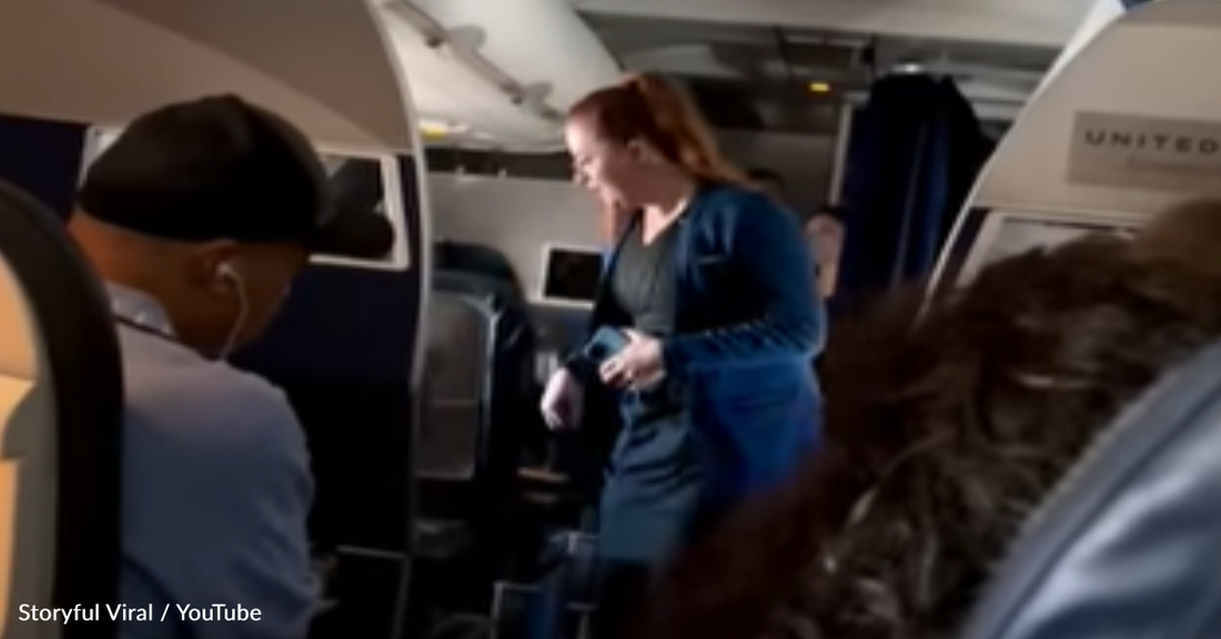 Flight Attendant Finds Loose Cat Mid-Flight And Tries To Wrangle It