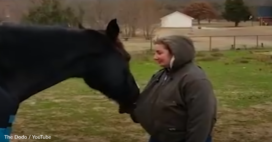 Horse Saves Mom's Life By Running To Dad For Help