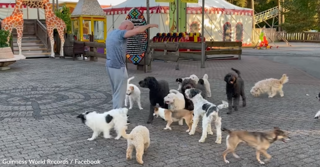 Dog Trainer Breaks World Record With Impressive 14-Dog Conga Line