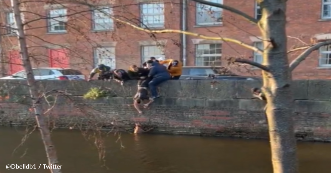 College Student Dangles Over Canal Edge To Rescue Dog Trapped In The Water