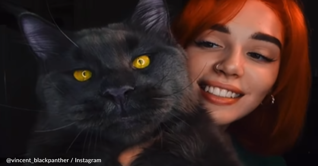 Couple Adopts Kitten But Ends Up With A Panther-Like Cat