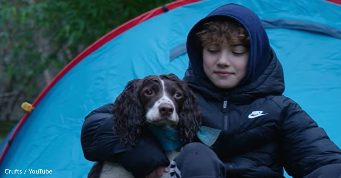 Boy Spends Nearly 2 Years Sleeping Outside To Raise Money For Dogs In Need