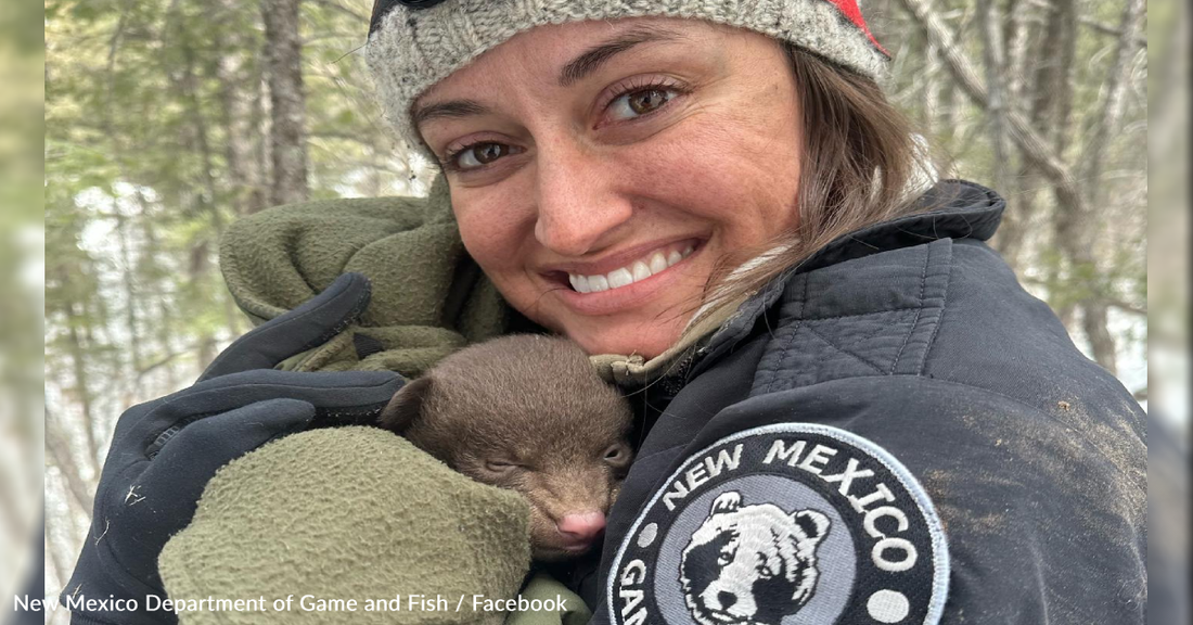 New Mexico Is Hiring "Professional Bear Huggers"