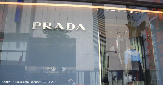 Prada Releases $795 Raincoat For Dogs Based On High-End Human Design