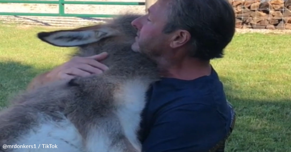 Man Holds Baby Rescue Donkey And Sings "Over The Rainbow" To Comfort Her