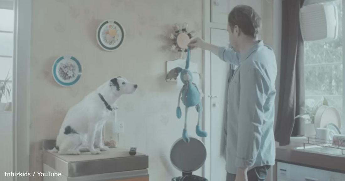 Dog Convinces His Owner To Keep His Beloved Stuffed Rabbit In Adorable TV Commercial