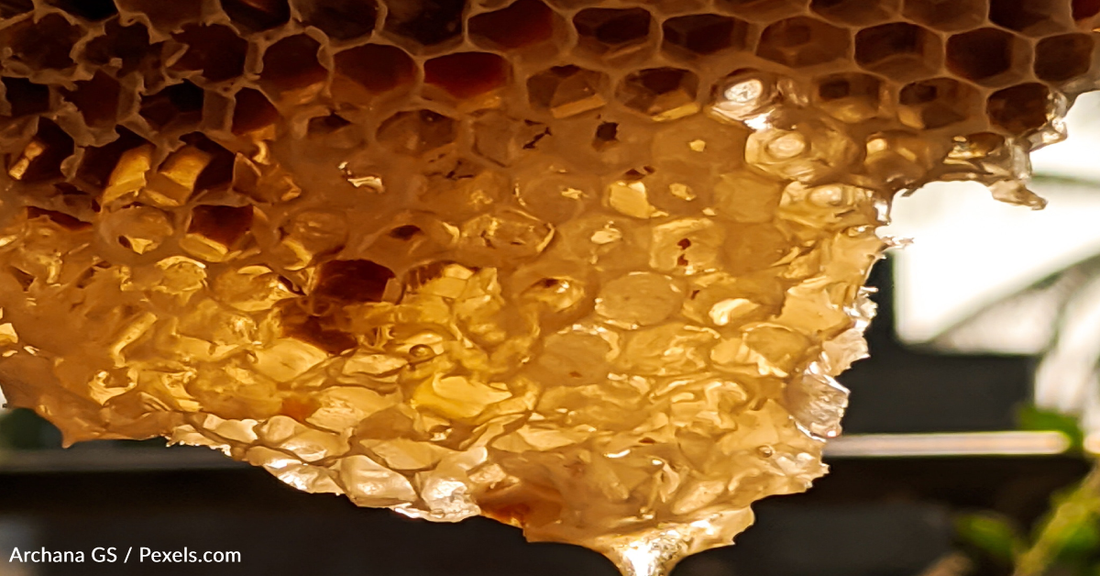 Couple Discovers Beehive Hidden In Home After Honey Starts Dripping Down The Walls