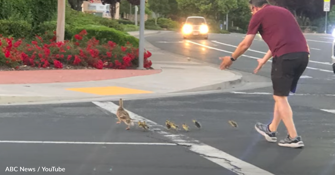 Community Rallies Around Wife Of Dad Who Was Killed By Driver While Helping Ducklings Cross The Streets