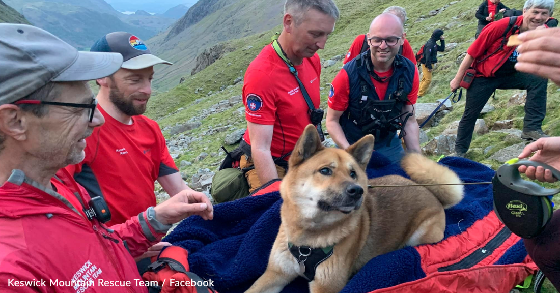 Mountain Rescuers Traverse Scafell Pike To Rescue Injured Dog