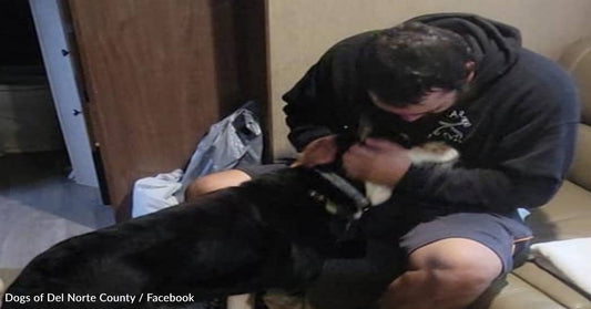 Stolen Dog Reunites With Owner After 2 Years Apart