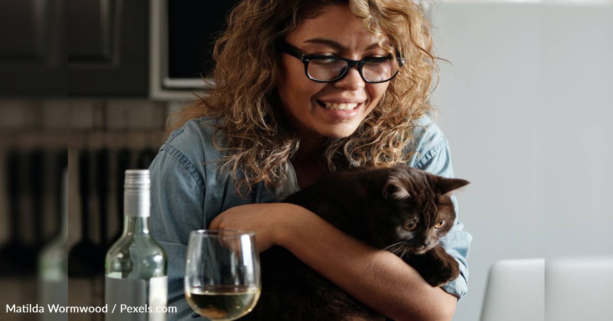 Scientists Want To Interview Cat Owners Whose Felines Have Chronic ...