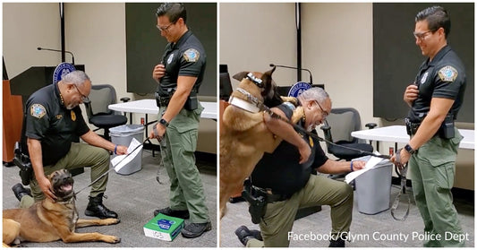 Playful Police K9 Can’t Contain His Excitement During His Swearing In Ceremony