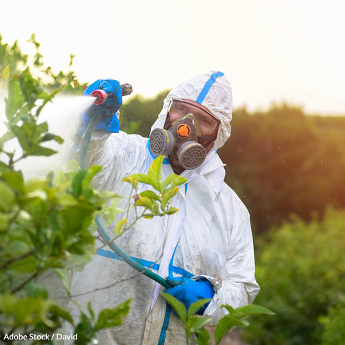 Urge the EPA to Ban the Deadly Chemical Atrazine