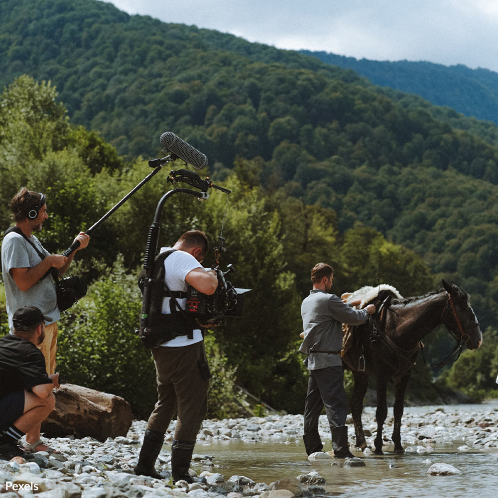 Stop Animal Cruelty Behind the Camera | The Animal Rescue Site