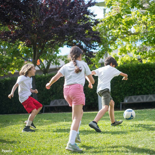 Stop PFAS in Artificial Turf from Poisoning Our Children