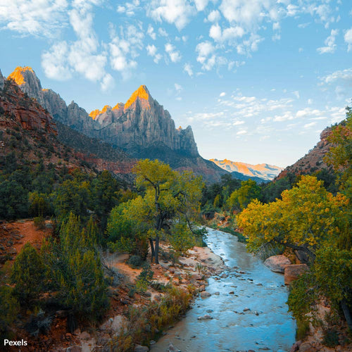 Bring The U.S. Back To The Global Climate Fight