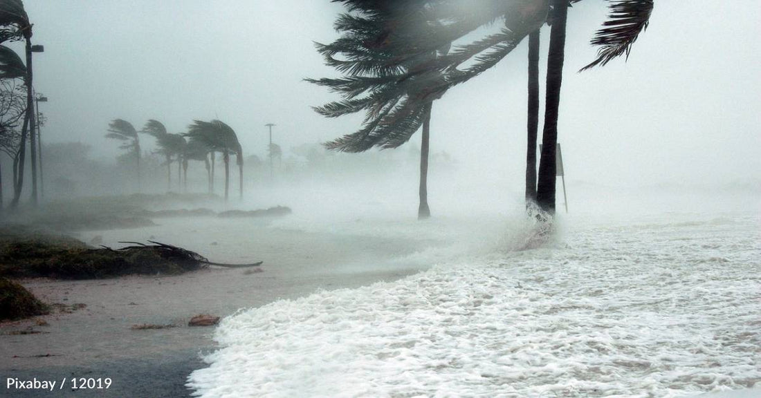 Experts Forecast a Very Active 2024 Hurricane Season, Largely Due to Record Sea Surface Warmth